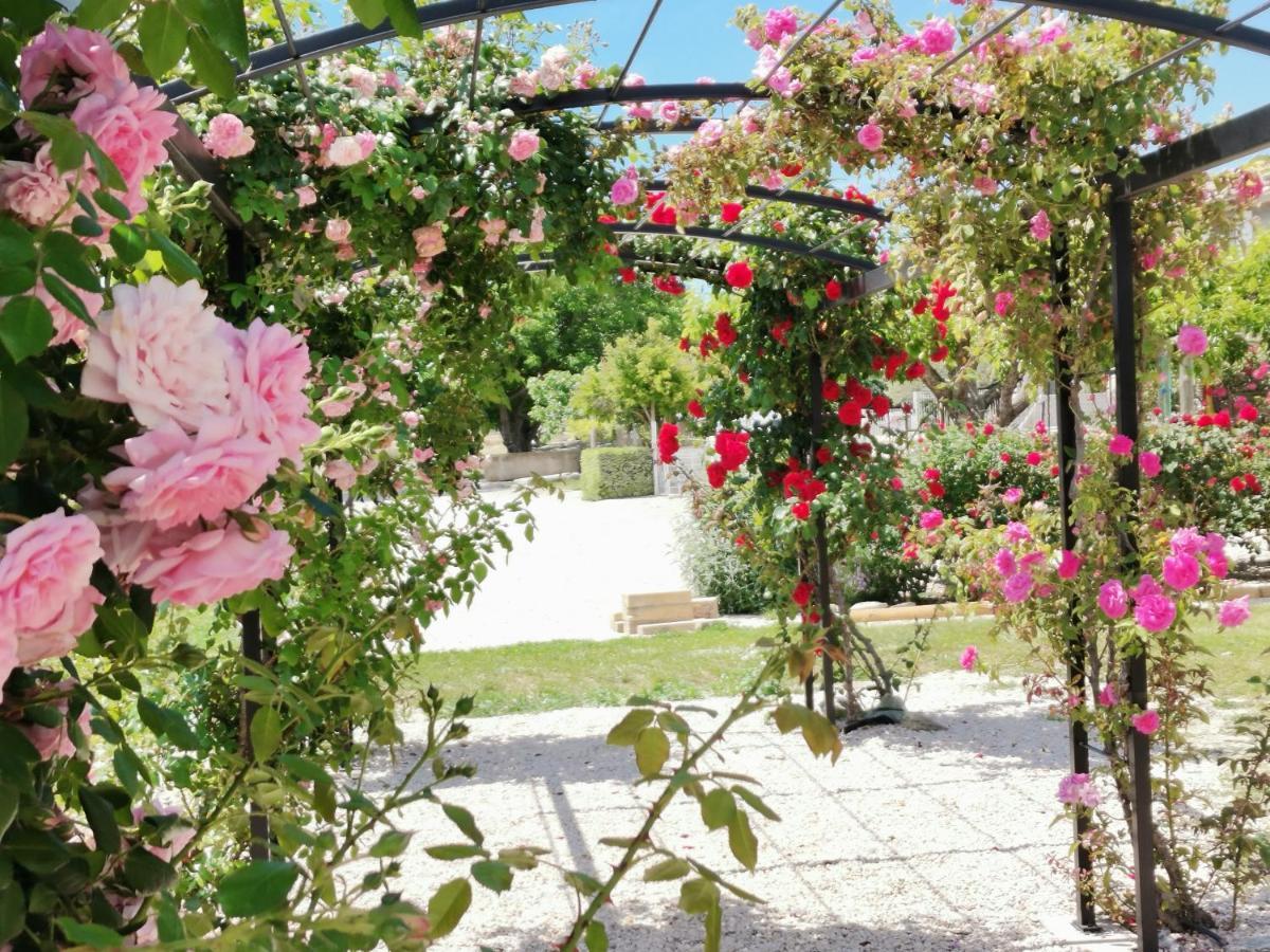 Gite En Provence Lavande Modene Exterior foto