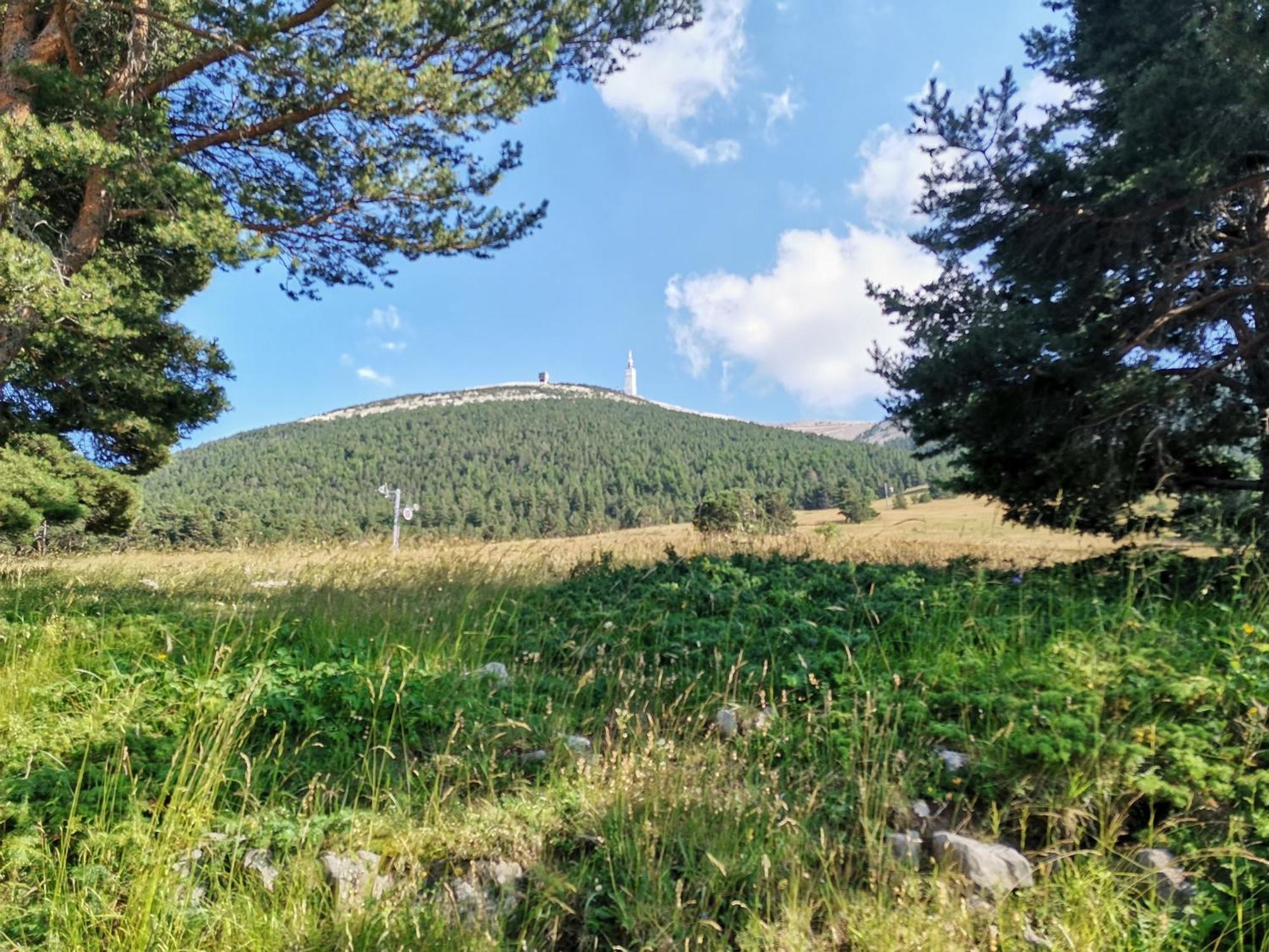 Gite En Provence Lavande Modene Exterior foto