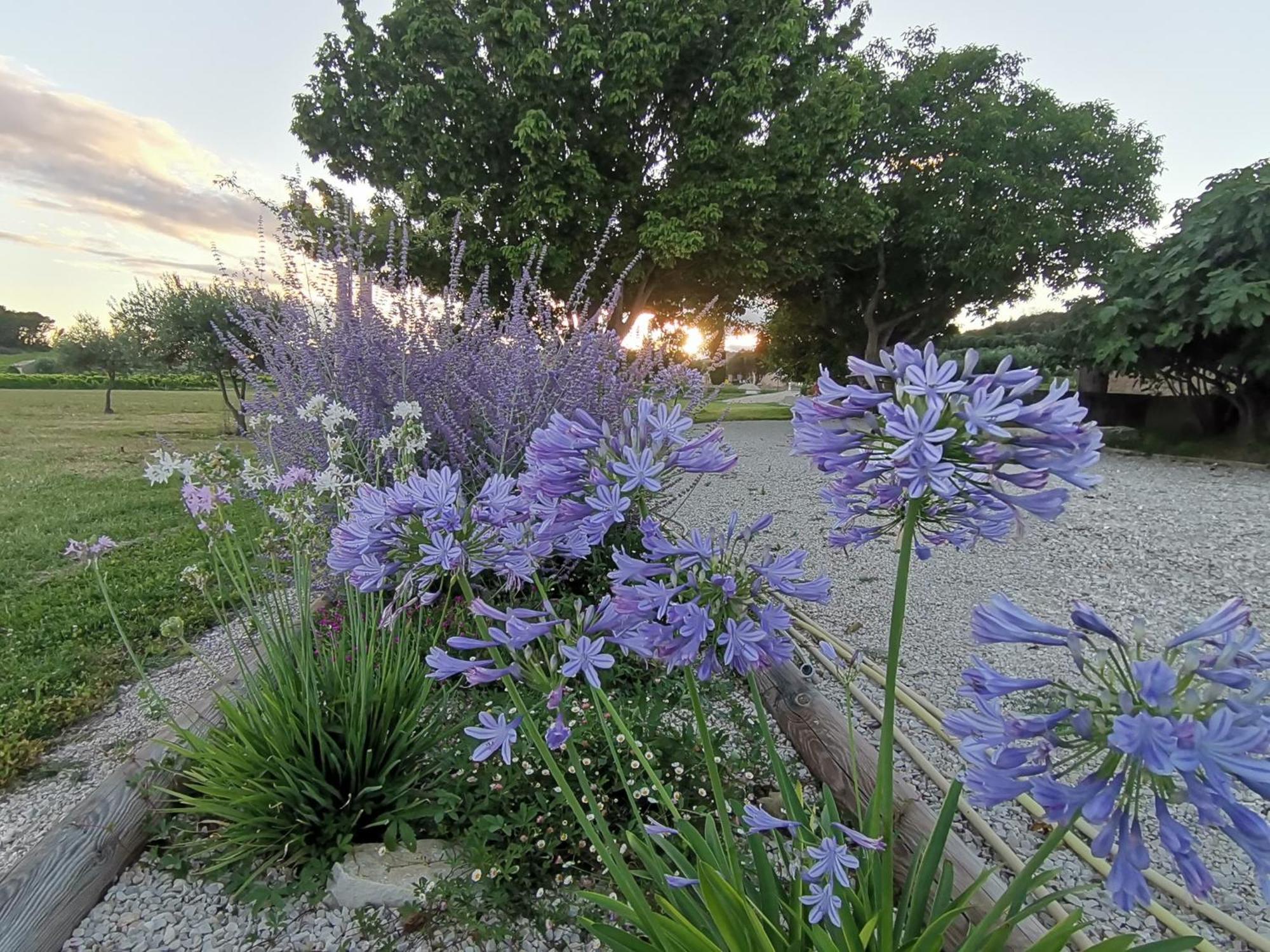 Gite En Provence Lavande Modene Exterior foto